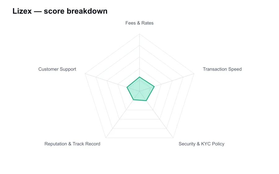 Lizex score breakdown by criterion, shown as a radar chart
