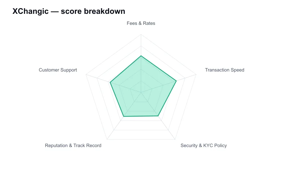 XChangic score breakdown by criterion, shown as a radar chart